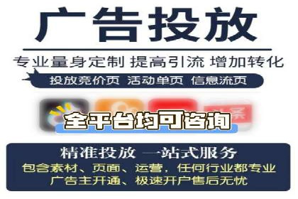 SEM推广案例：揭秘高ROI背后的策略与实践